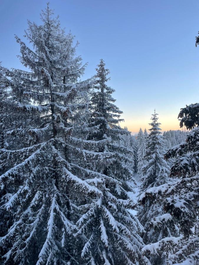 Woodside Apartment 431, Kopaonik - One Separate Bedroom 35M2- Free Parking & Spa 外观 照片