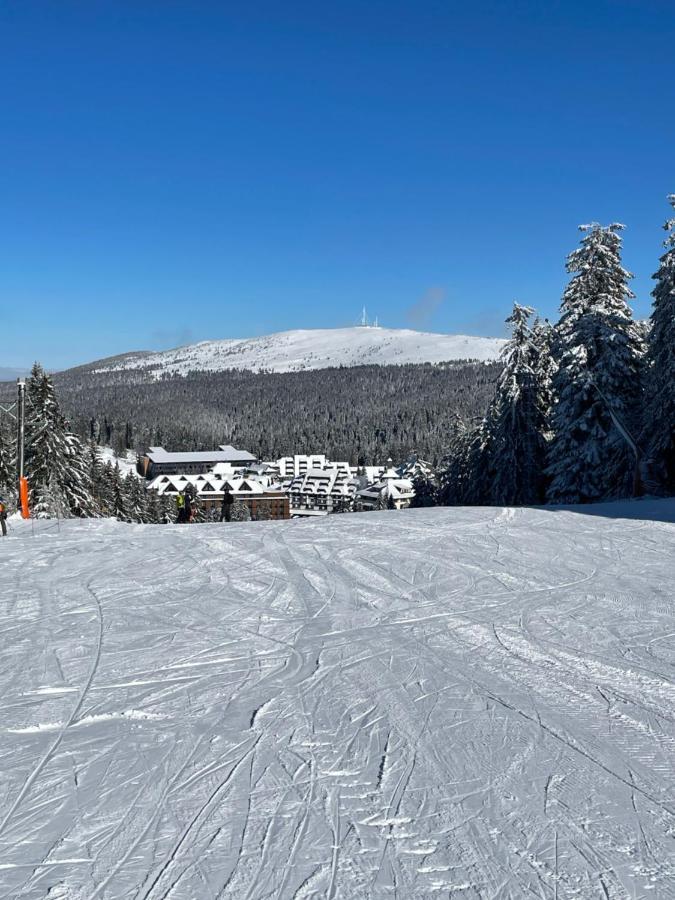 Woodside Apartment 431, Kopaonik - One Separate Bedroom 35M2- Free Parking & Spa 外观 照片